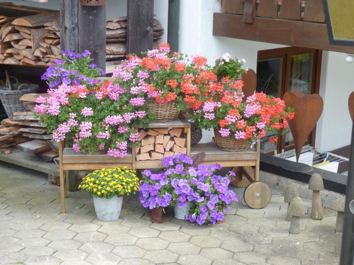 Ferienwohnung Hartmann Obermaiselstein Esterno foto
